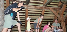 Podkrovie kostola v obci Lesnica s kolóniou netopiera obyčajného (M. myotis)
