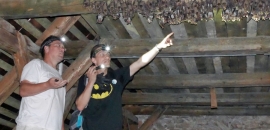 Podkrovie kostola v obci Lesnica s kolóniou netopiera obyčajného (M. myotis)