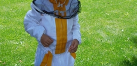 malý včelár