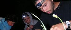 Zber parazitov a ďalších údajov